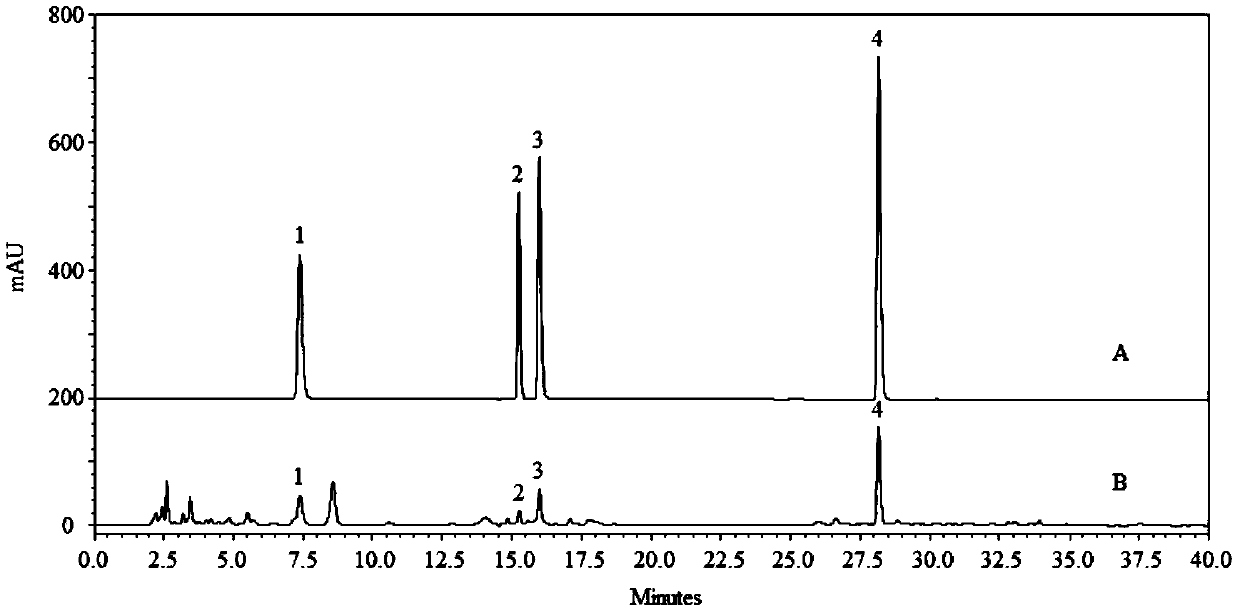 Supercritical extract of fresh Cordyceps sinensis, and preparation method and application thereof