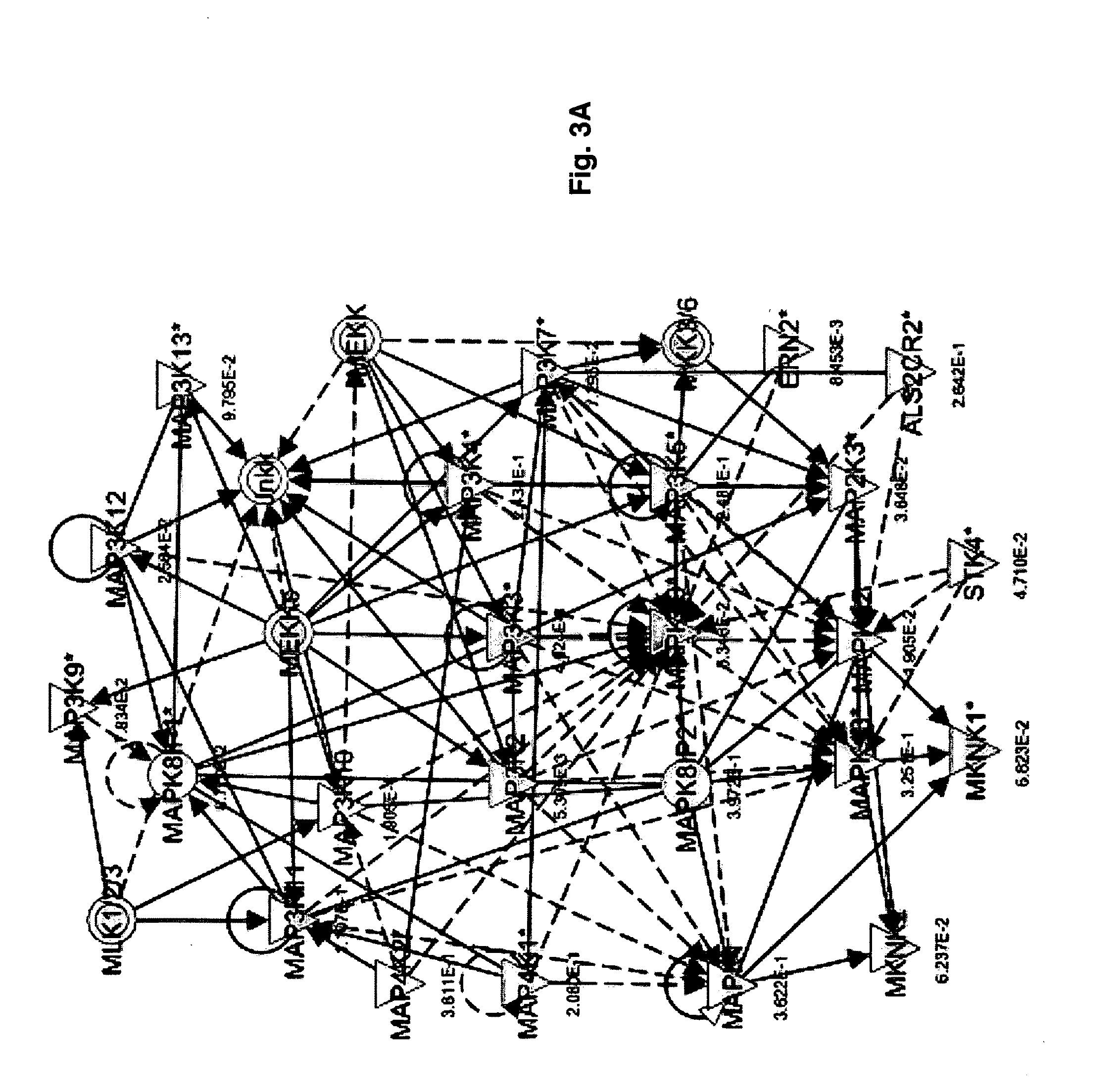 Inhibition of filovirus entry into cells and uses thereof