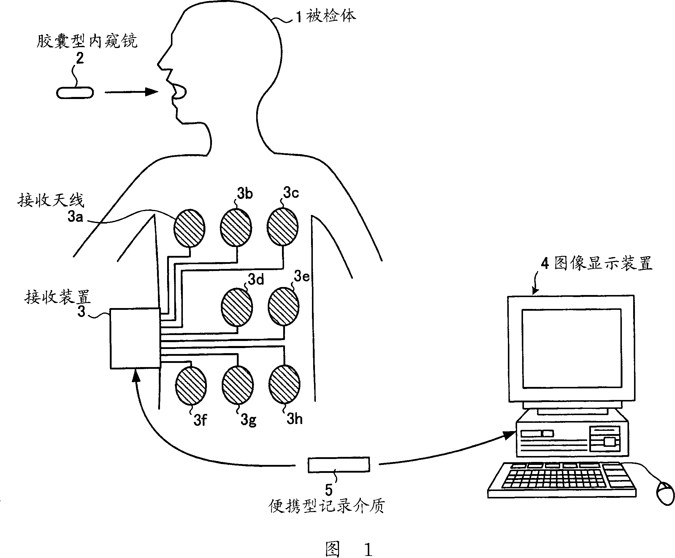 Image display device