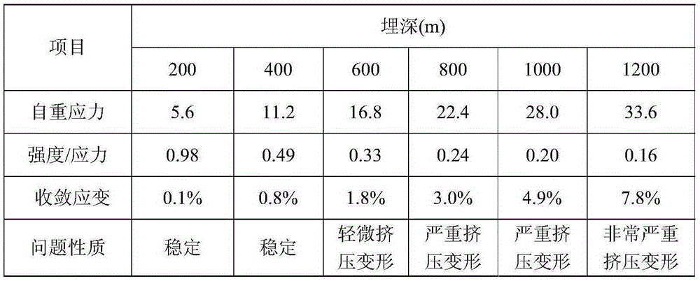 A kind of in-situ test method and in-situ test structure of deep soft rock tunnel