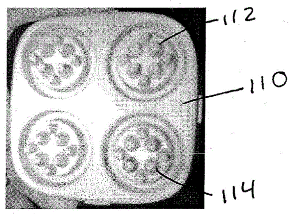 Apparatus and method for tissue rejuvenation