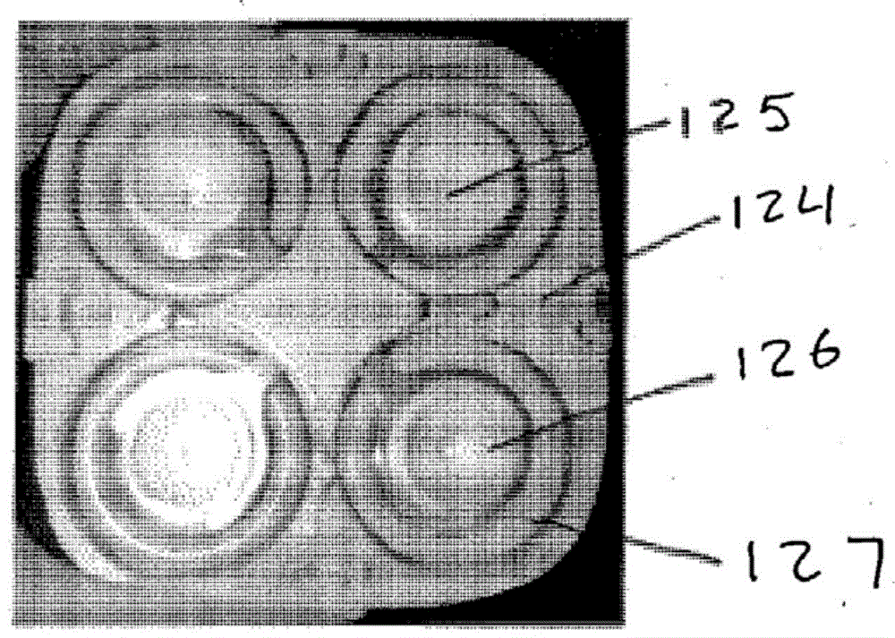 Apparatus and method for tissue rejuvenation