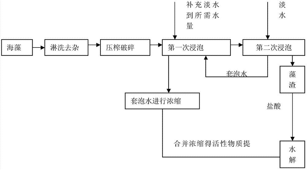 Chitosan coated alga bioorganic fertilizer and preparation method thereof