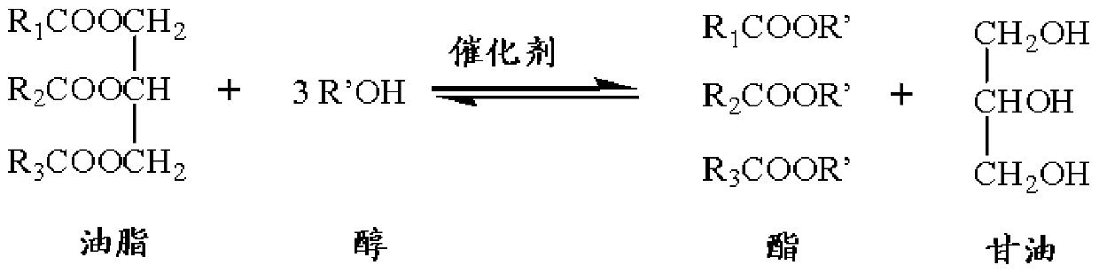 Method and system for enzymatic preparation of biodiesel