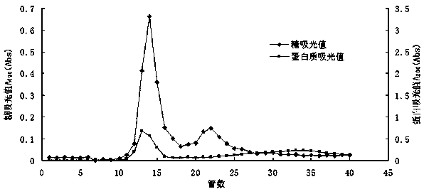 A kind of preparation method of sea cucumber fucoidan sulfate ester and sea cucumber glycoprotein