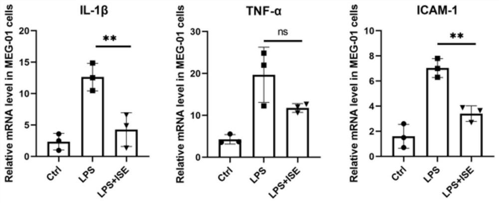 Application of compound Isaridin E or pharmaceutical salt thereof in preparation of antithrombotic drugs