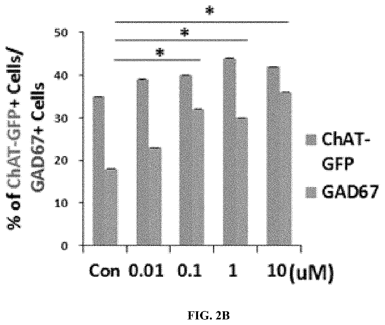 Composition for preventing or treating neurological disorder comprising aucubin