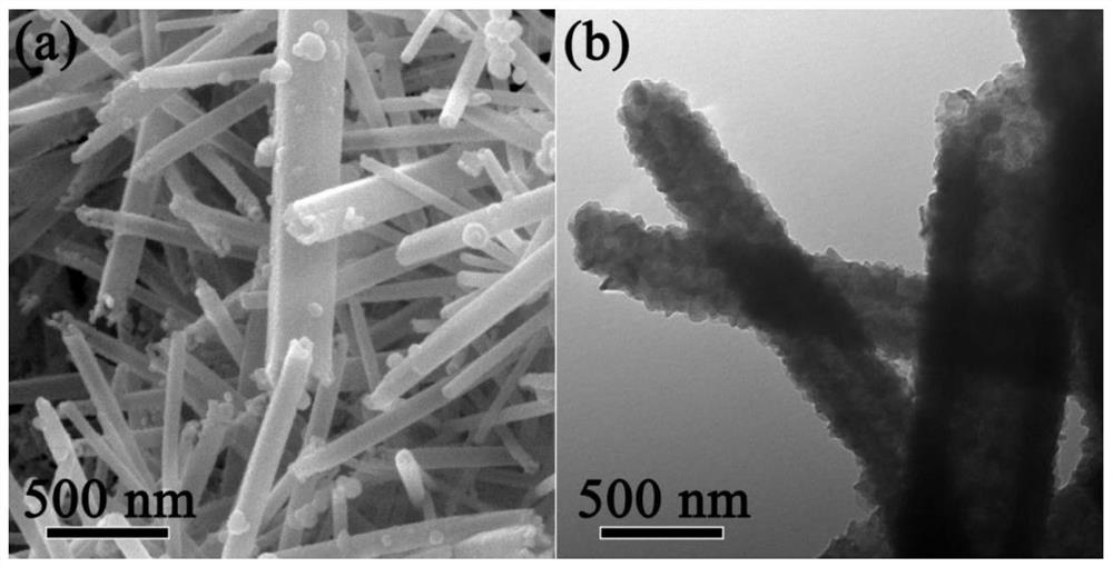 Universal preparation method of transition metal sulfide nanotube and application of transition metal sulfide nanotube as cathode material of rechargeable magnesium battery