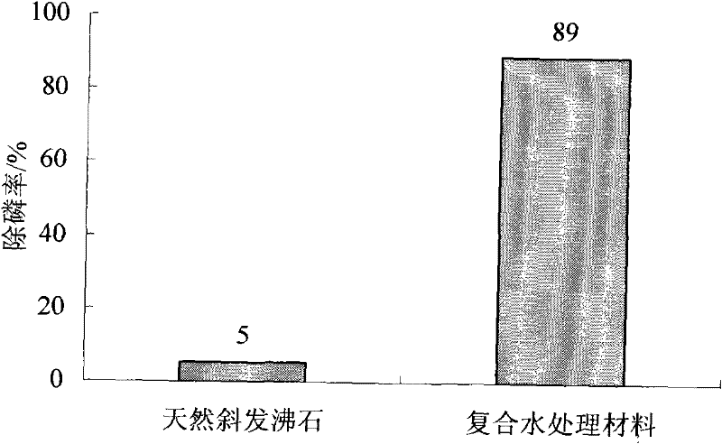 Denitrification dephosphorization antibacterial composite water treatment material used for water reclamation