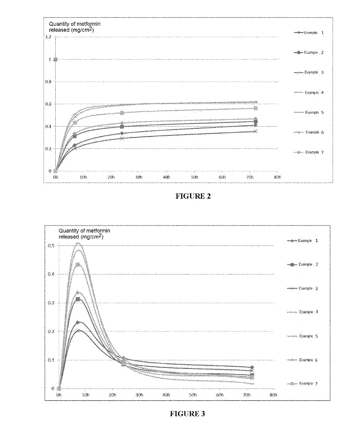 Dressing Enabling the Controlled and Prolonged Release of Metformin