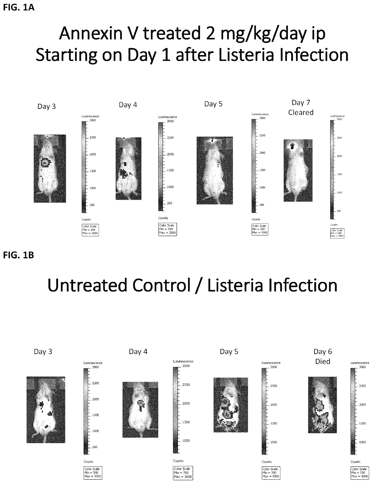 Use of annexin V to reduce the spread of intracellular pathogens