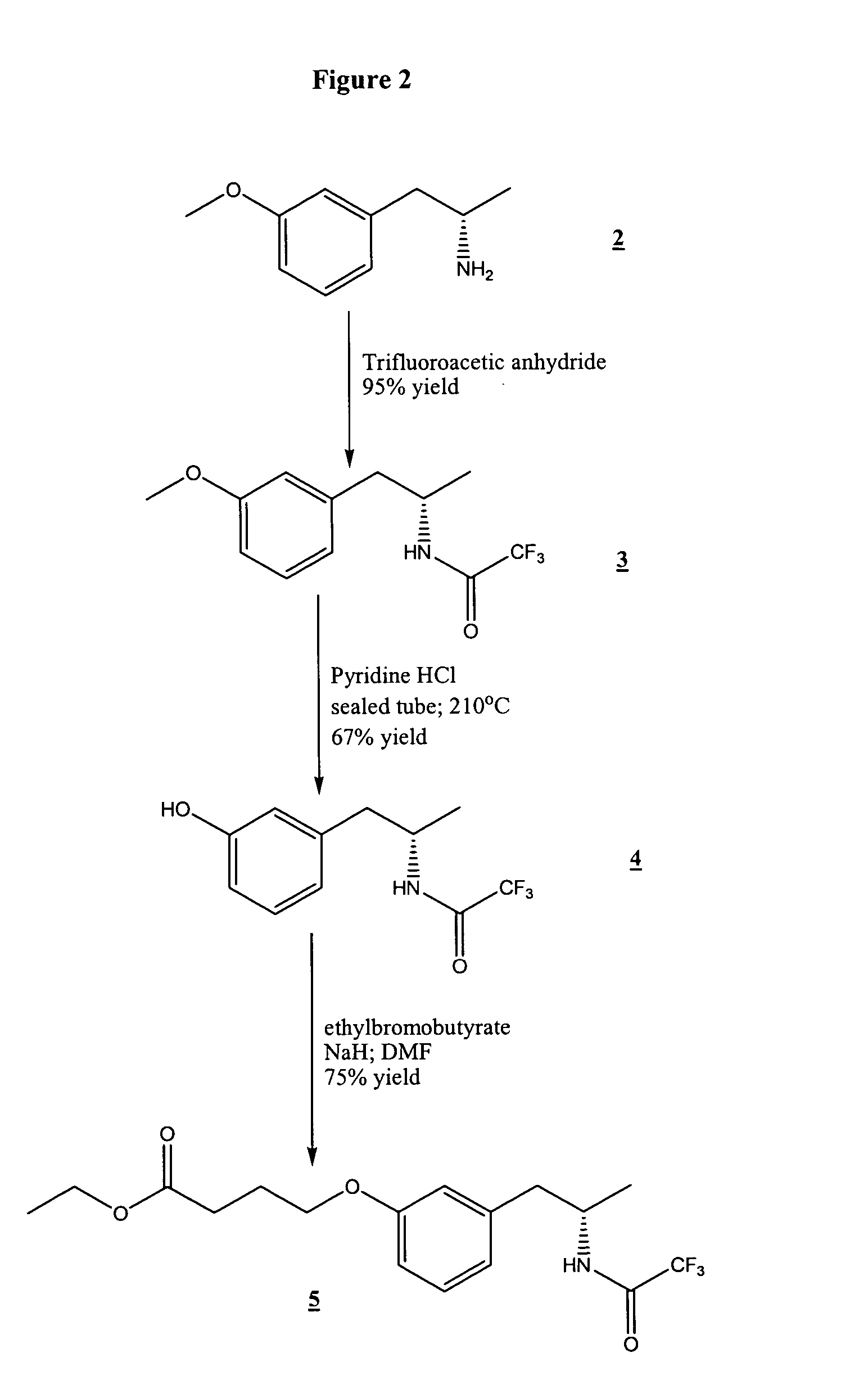 Methamphetamine derivatives and conjugates for immunoassay