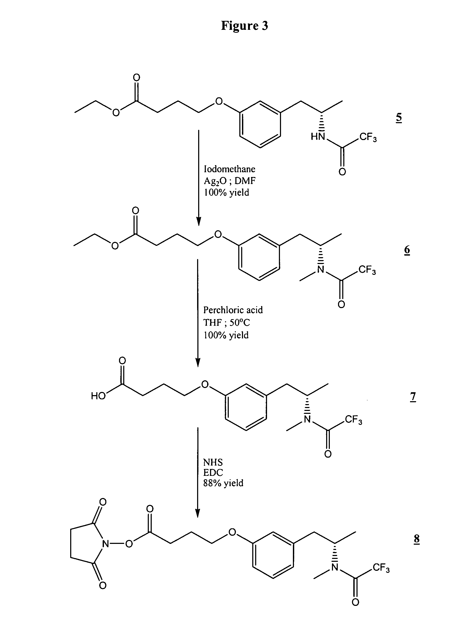 Methamphetamine derivatives and conjugates for immunoassay