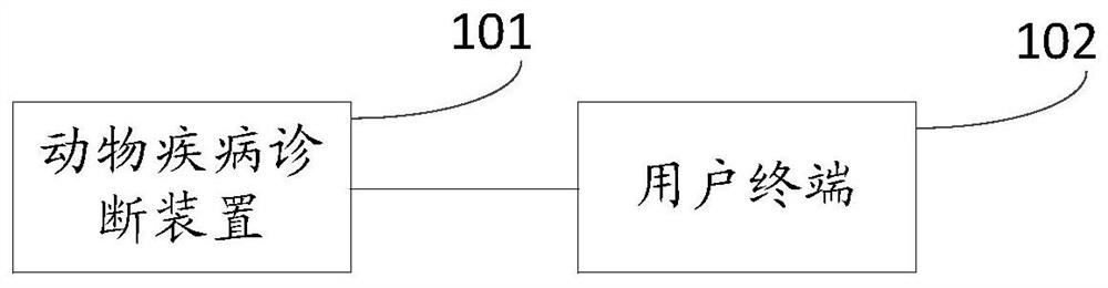 Animal disease diagnosis device