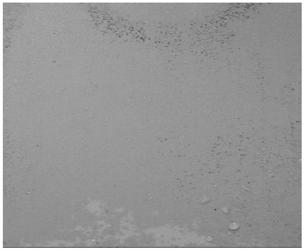 Preparation method and sealing method of a ceramic film layer on the surface of a magnesium alloy