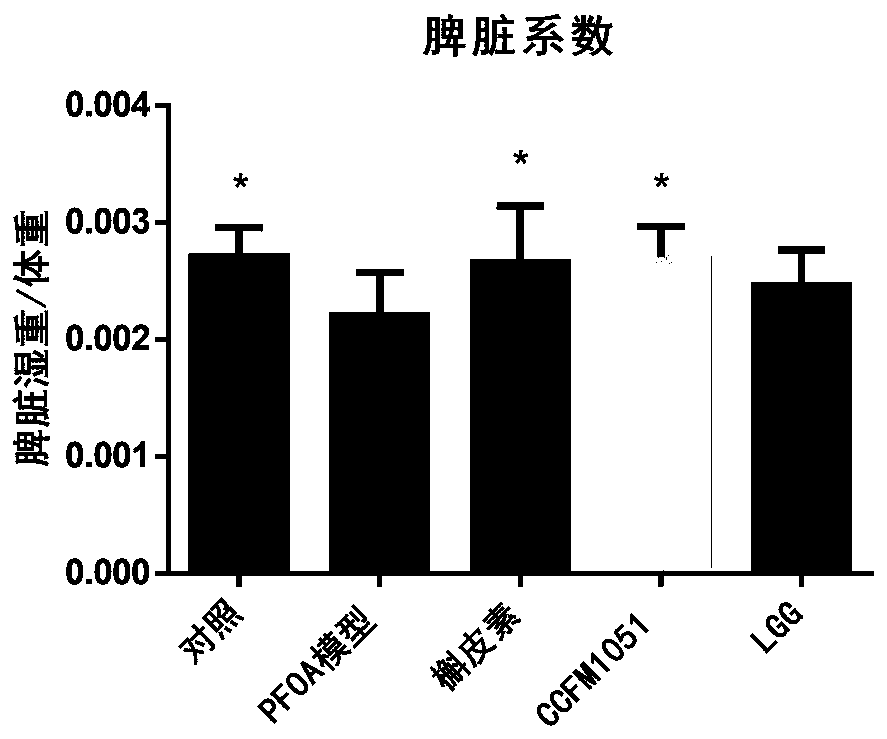 Multifunctional lactobacillus fermentum CCFM1051 for relieving PFOA toxicity and fermented foods and application thereof