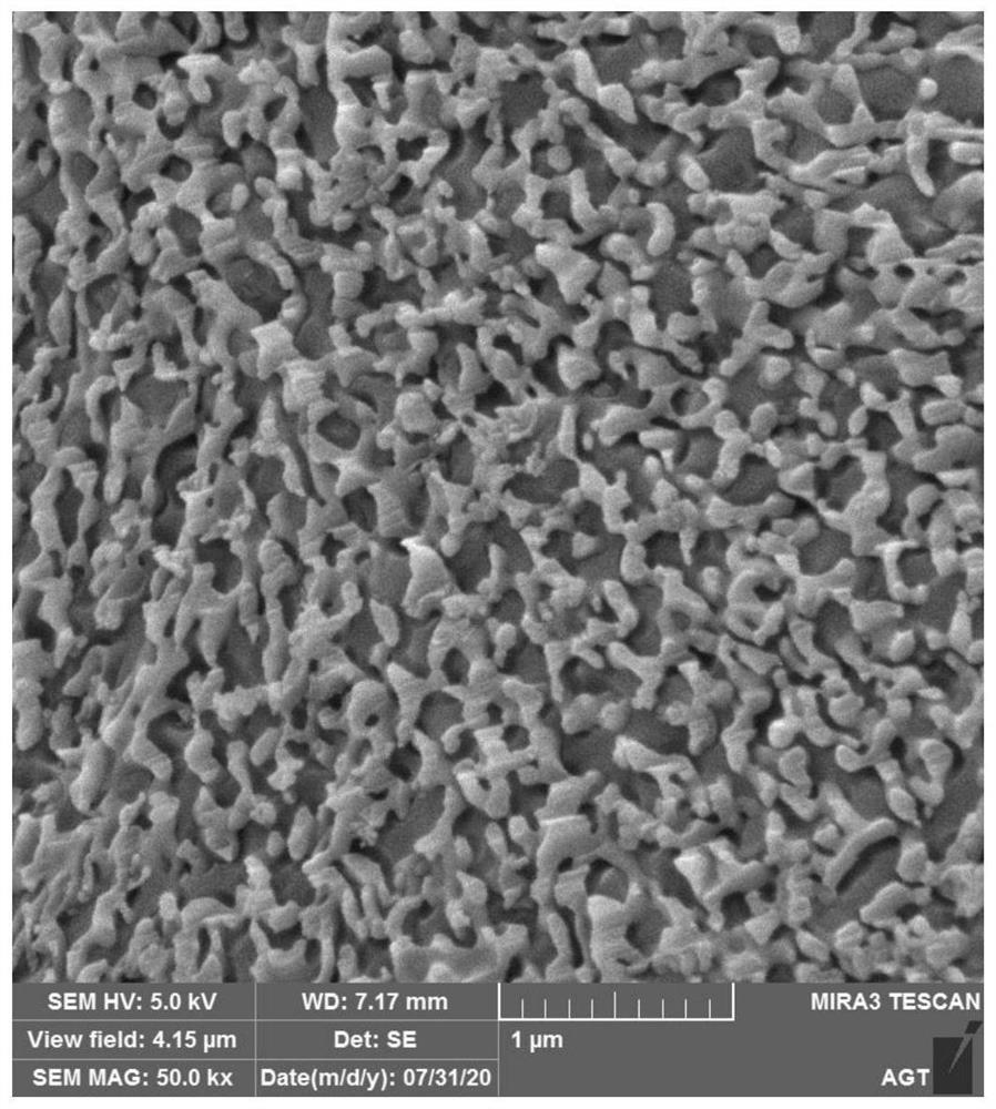 Coffee microcrystalline glass stone prepared from molybdenum tailings and preparation method of coffee microcrystalline glass stone