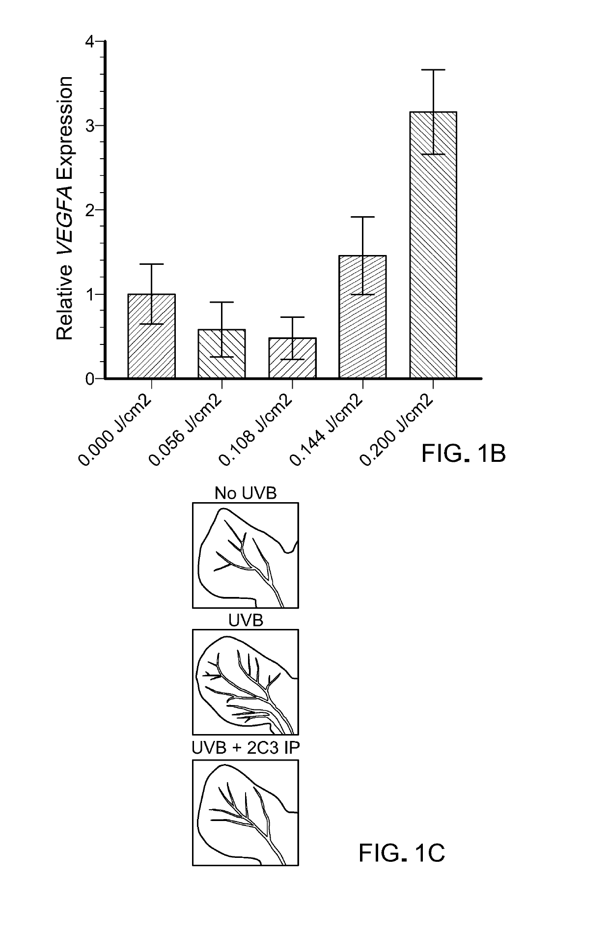 Compositions to treat ultraviolet (UV)-induced skin injury