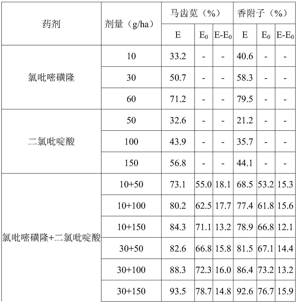 Weeding composition containing halosulfuron-methyl and clopyralid and application thereof