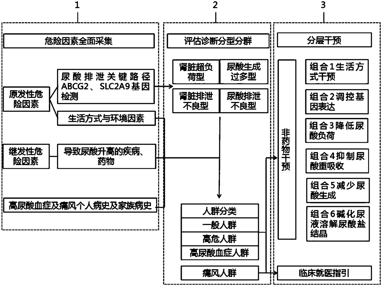 Hyperuricemia and gout non-drug targeted intervention system based on molecular subtyping