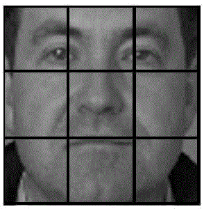 Face recognition method based on adaptive weighting and local characteristic fusion