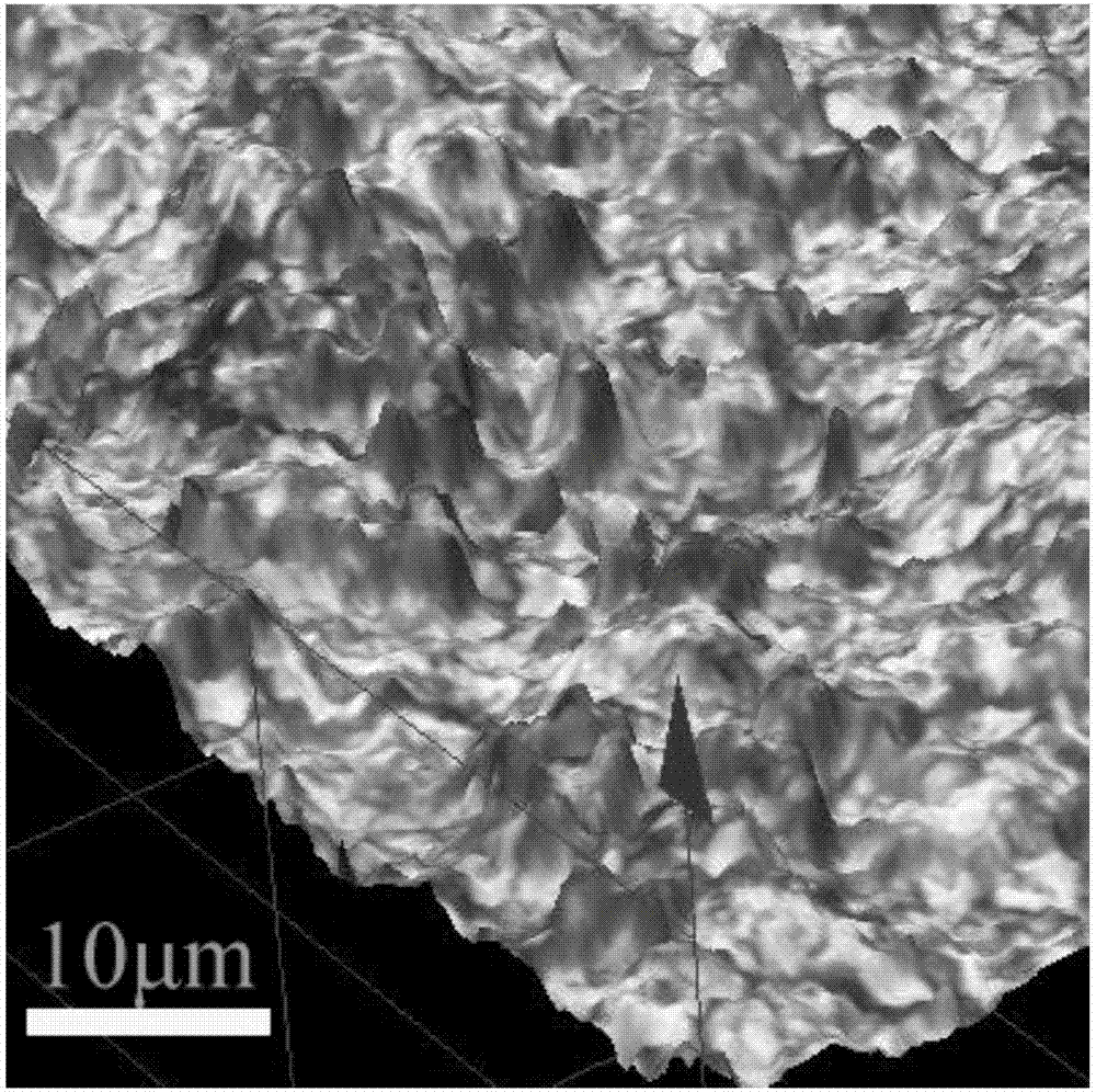 Magnesium alloy surface treatment method and preparation method of composite body of magnesium alloy and resin