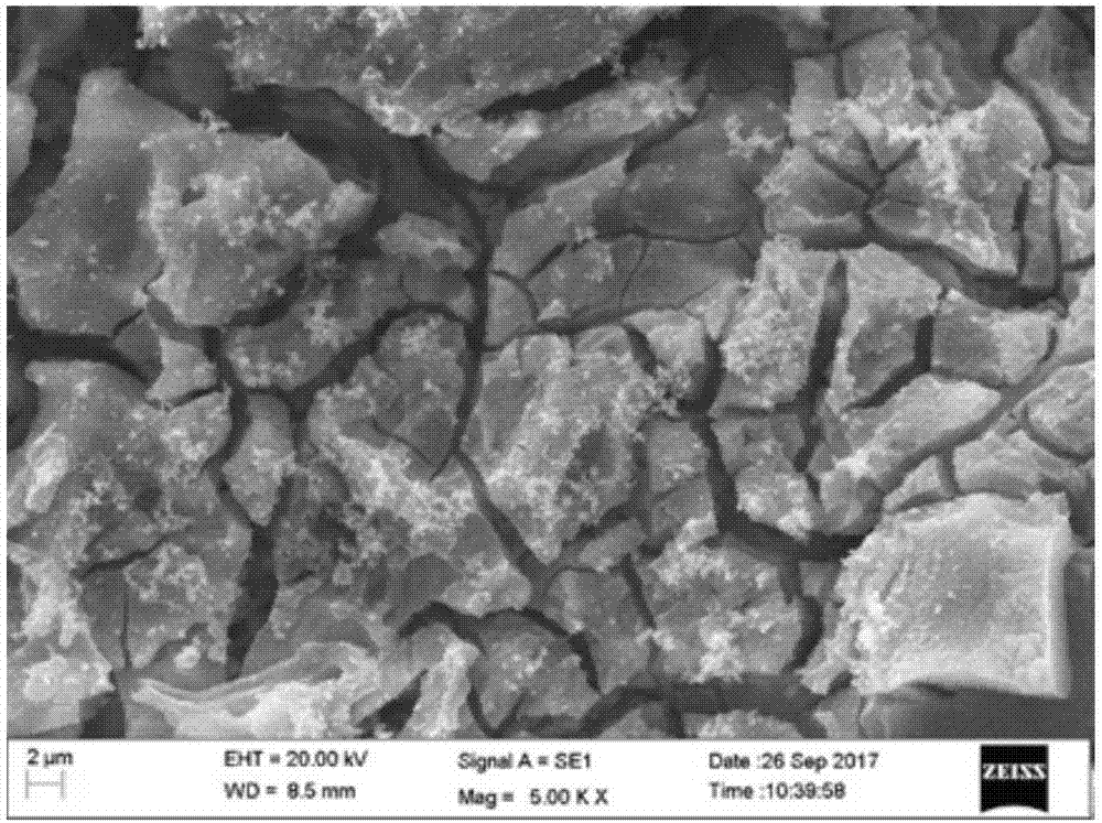 Magnesium alloy surface treatment method and preparation method of composite body of magnesium alloy and resin