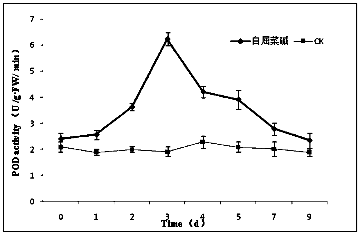 Application of chelidonine in preparation of plant resistance inducer, and plant resistance inducer