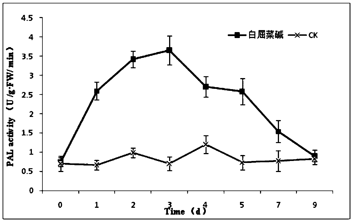 Application of chelidonine in preparation of plant resistance inducer, and plant resistance inducer