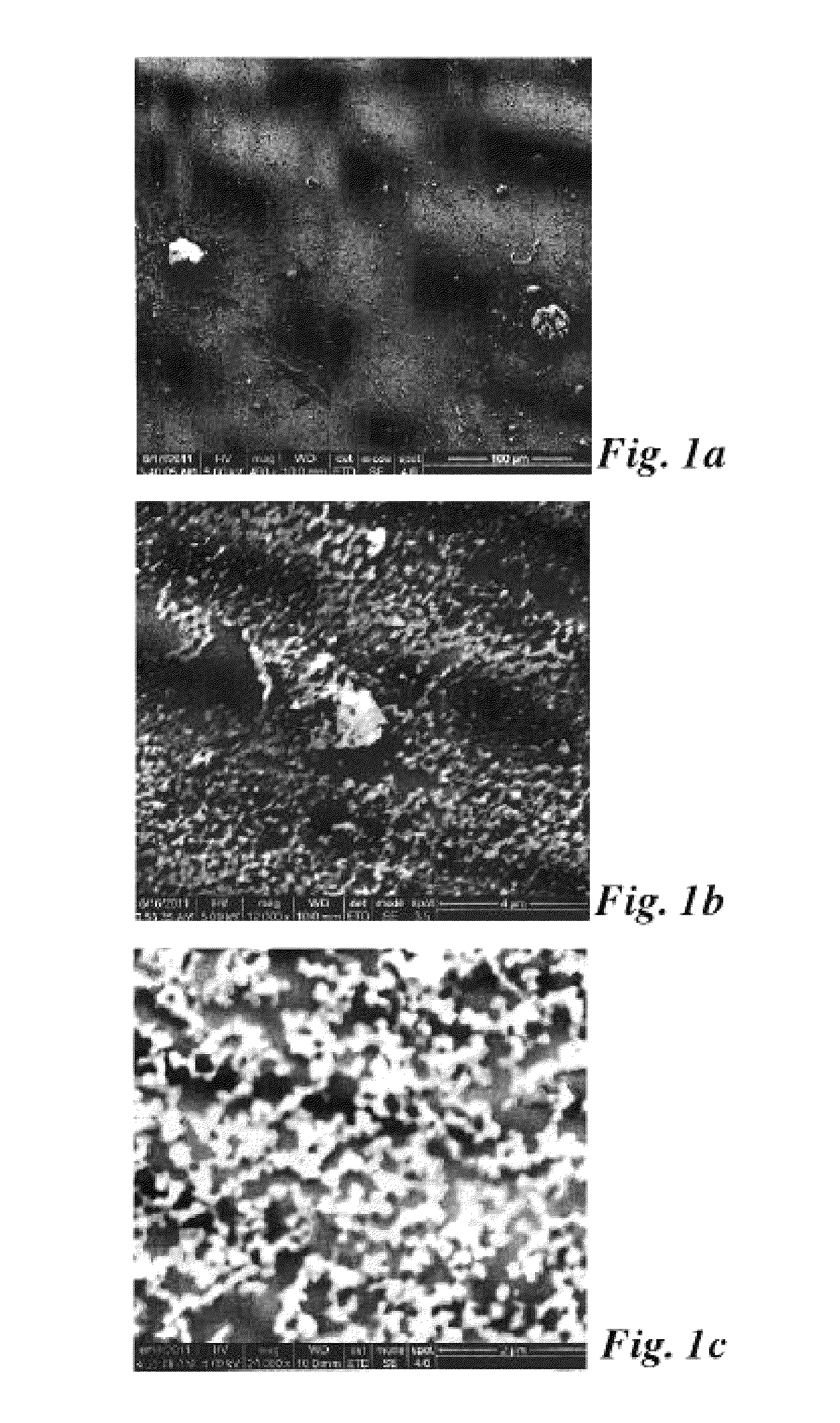 Fluoroalkylsilanated mesoporous metal oxide particles and methods of preparation thereof