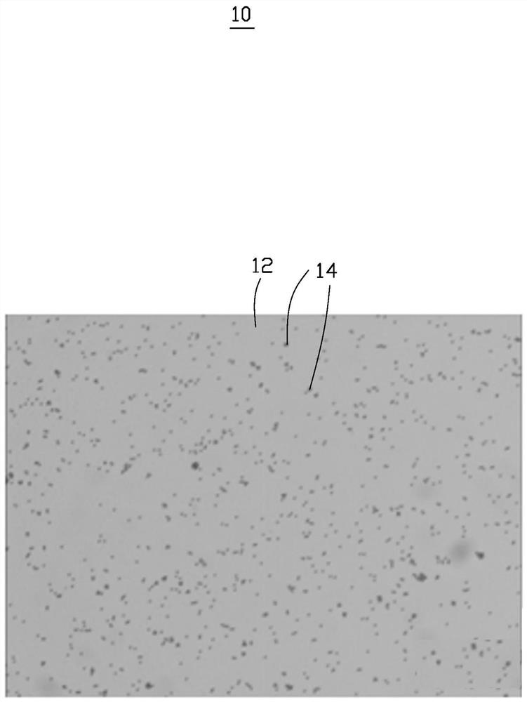 Anisotropic conductive adhesive and pasting method