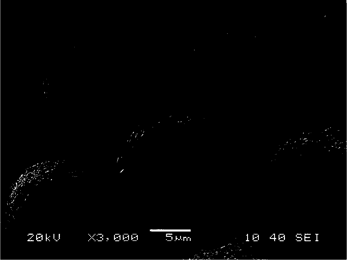 A kind of preparation method of large particle size doped tricobalt tetroxide