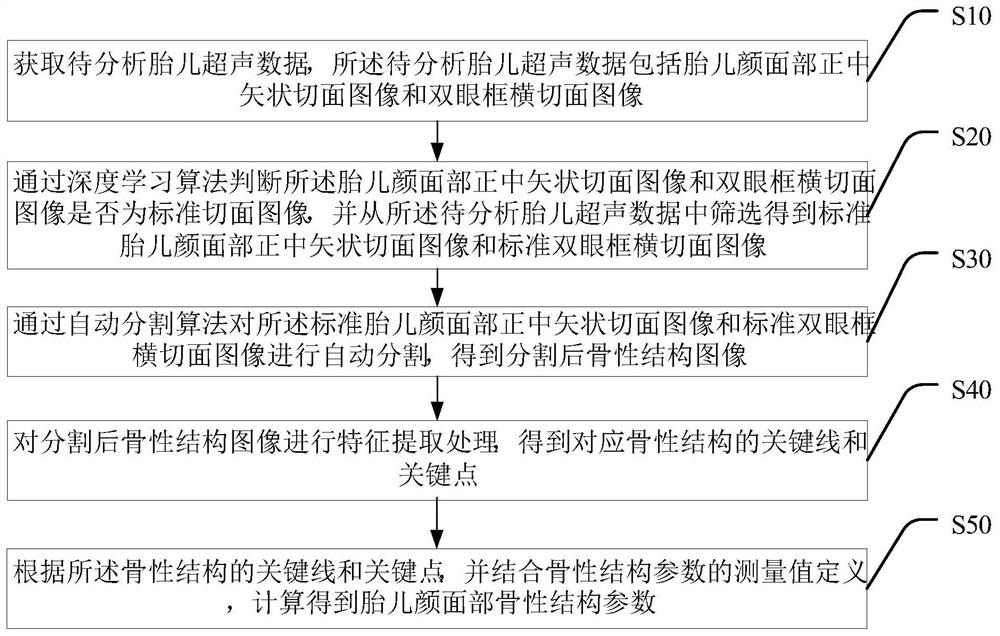 Method for intelligently acquiring bone structure parameters of fetal face and terminal equipment