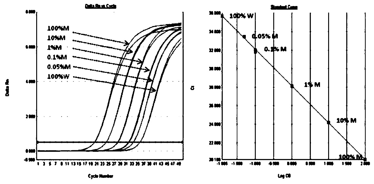 Kit for detecting hot spot mutation of human TERT gene promoter