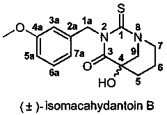 Bionic synthesis and preparation method of (+/-)-isomacahydantoin B