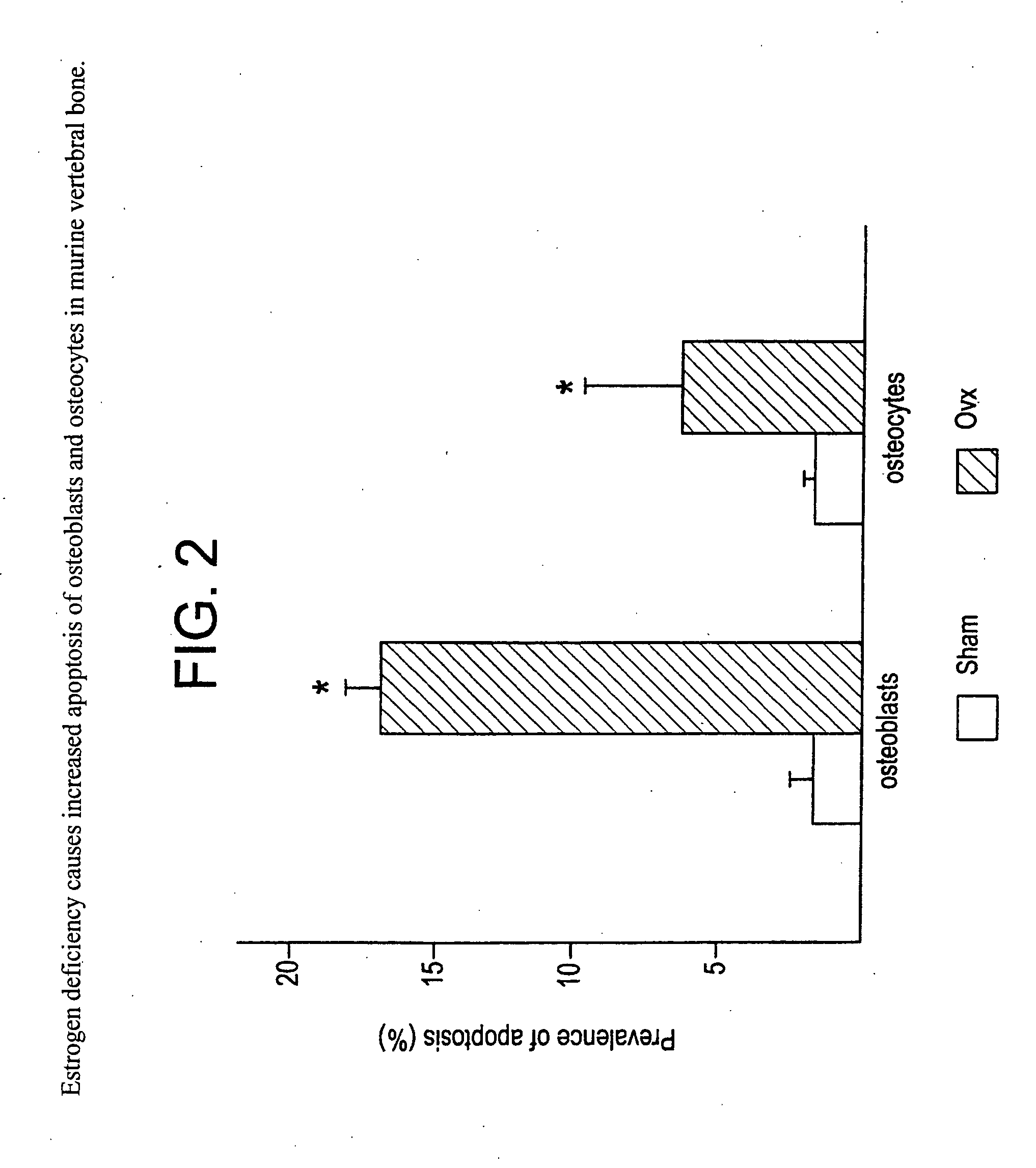 Method and compositions for increasing bone mass