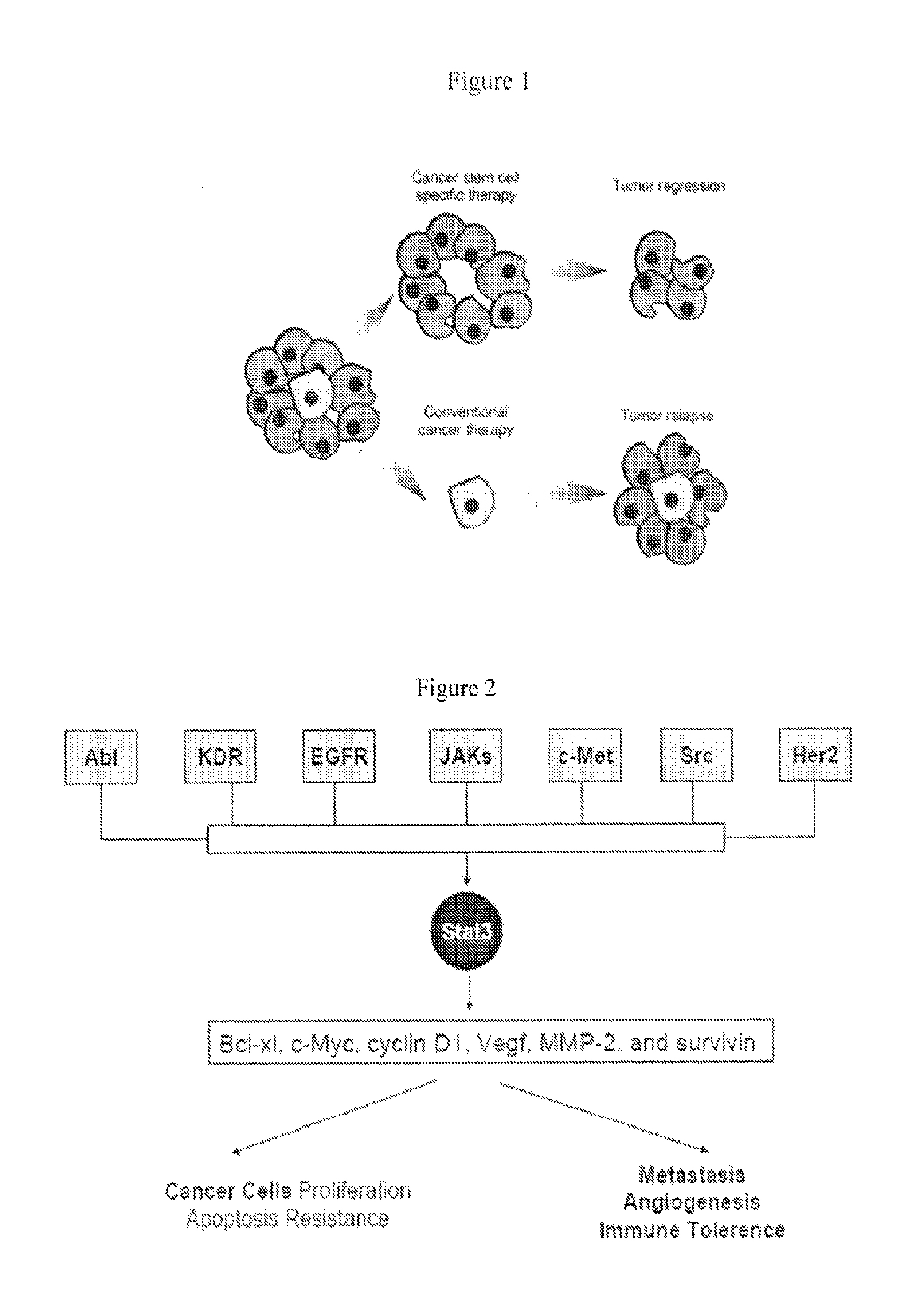 Novel group of stat3 pathway inhibitors and cancer stem cell pathway inhibitors