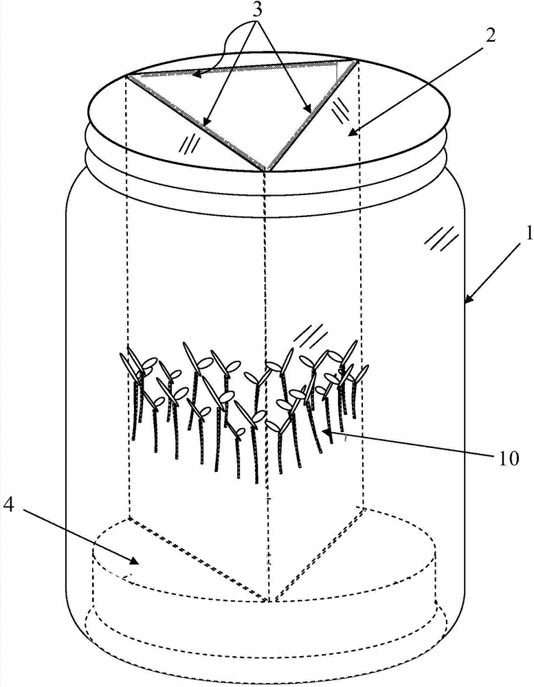 Seed germination device and method for experimental measurement