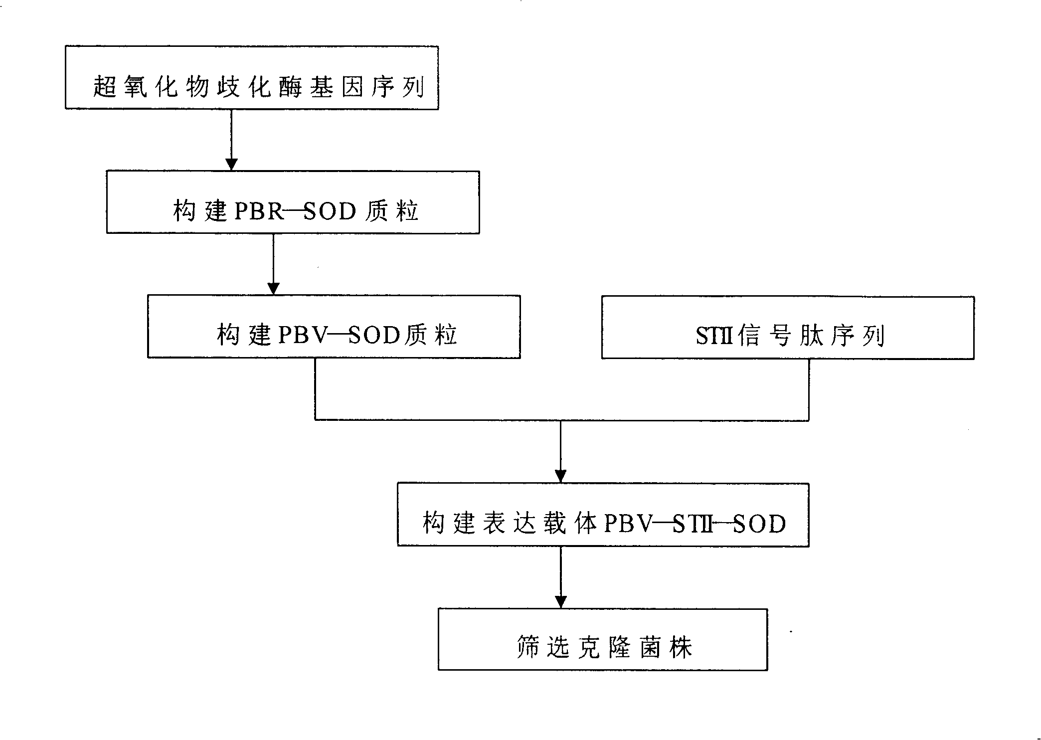 Technique for producing gene rHu(Cu/Zn-SOD) with one-step method