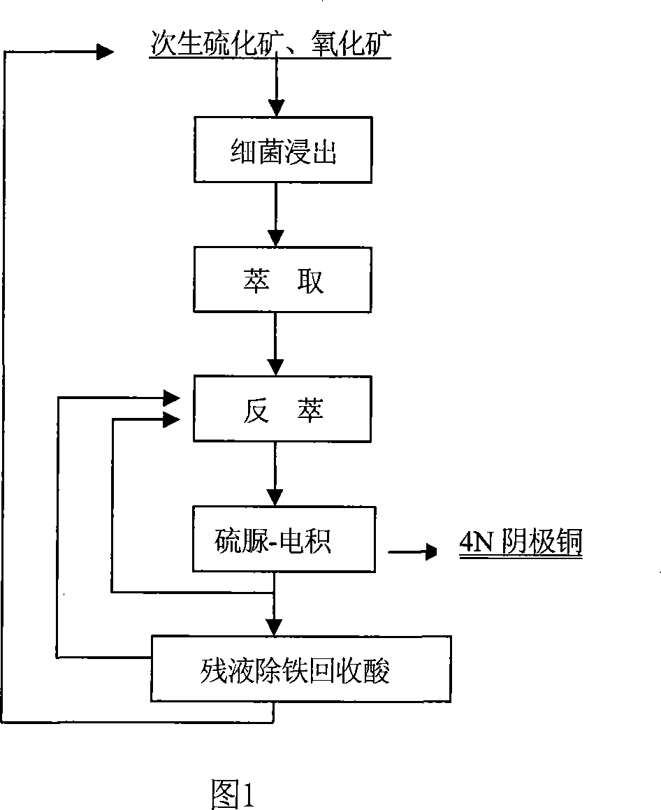 Method of preparing high purity copper by bacteria leaching primary sulfide ore