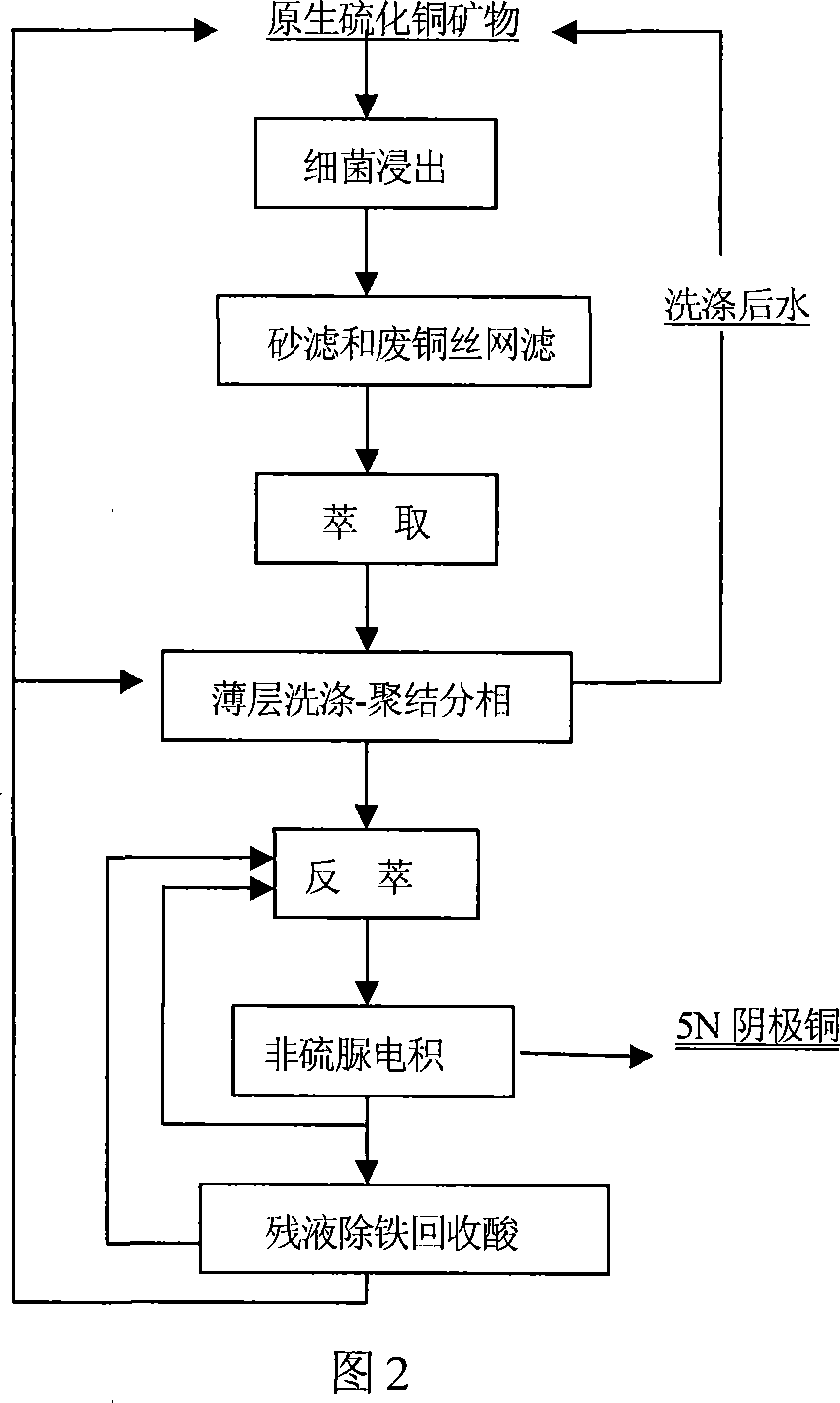 Method of preparing high purity copper by bacteria leaching primary sulfide ore
