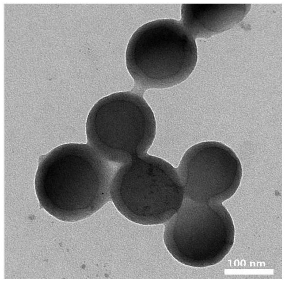 Nanoparticle releasing H2S under hypoxic condition as well as preparation method and application of nanoparticle