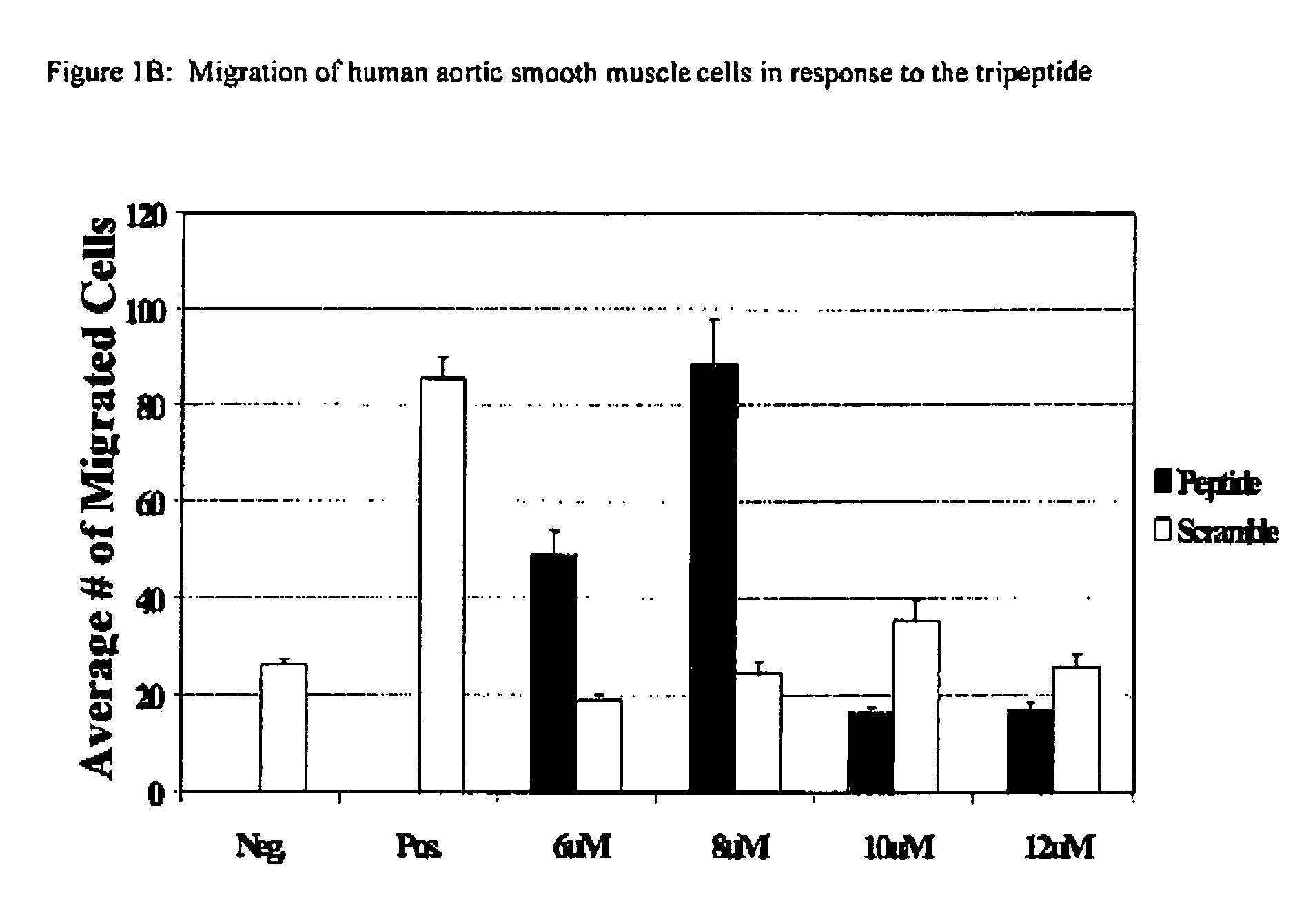 Compositions and methods for promoting myocardial and peripheral angiogenesis