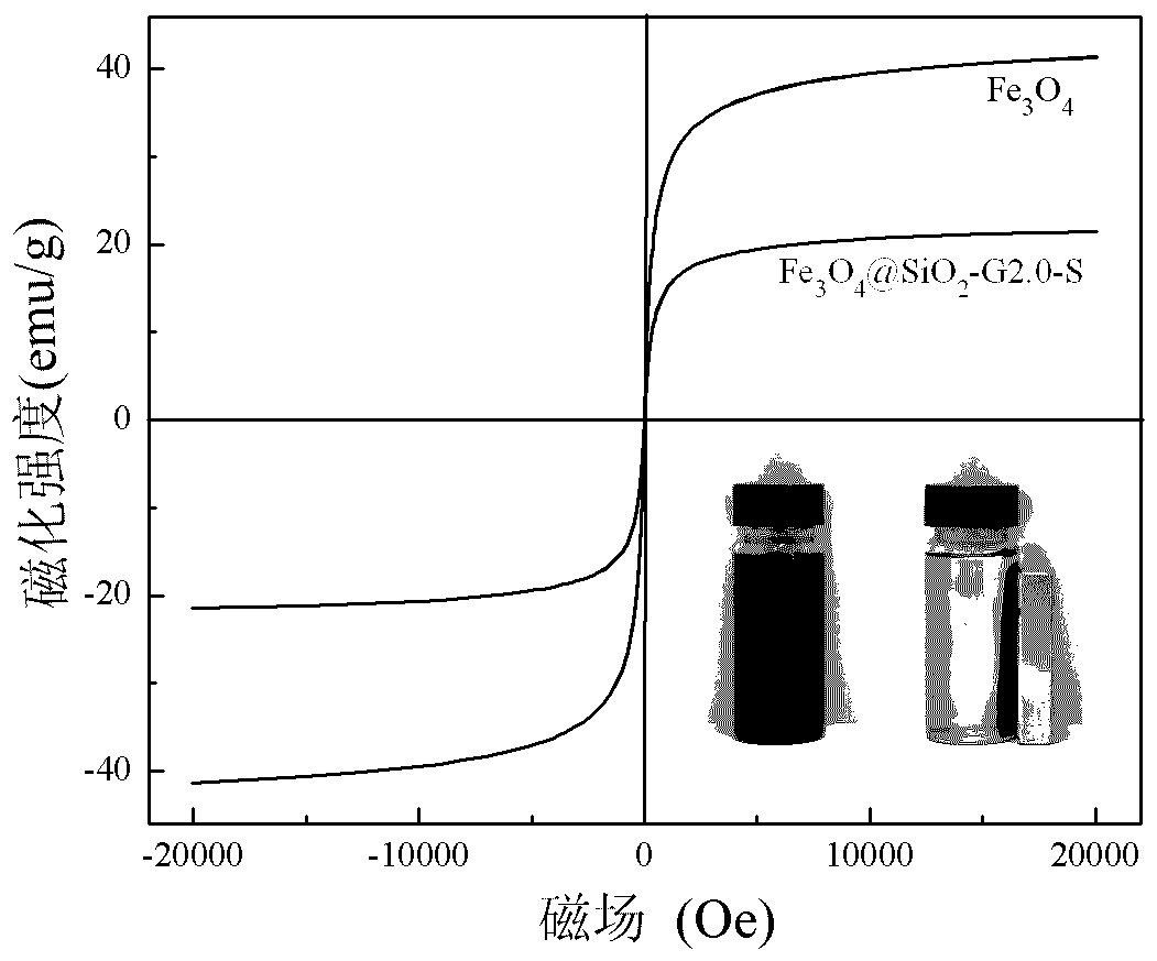 Preparation method of magnetic Fe3O4 loaded dendrimer adsorbent