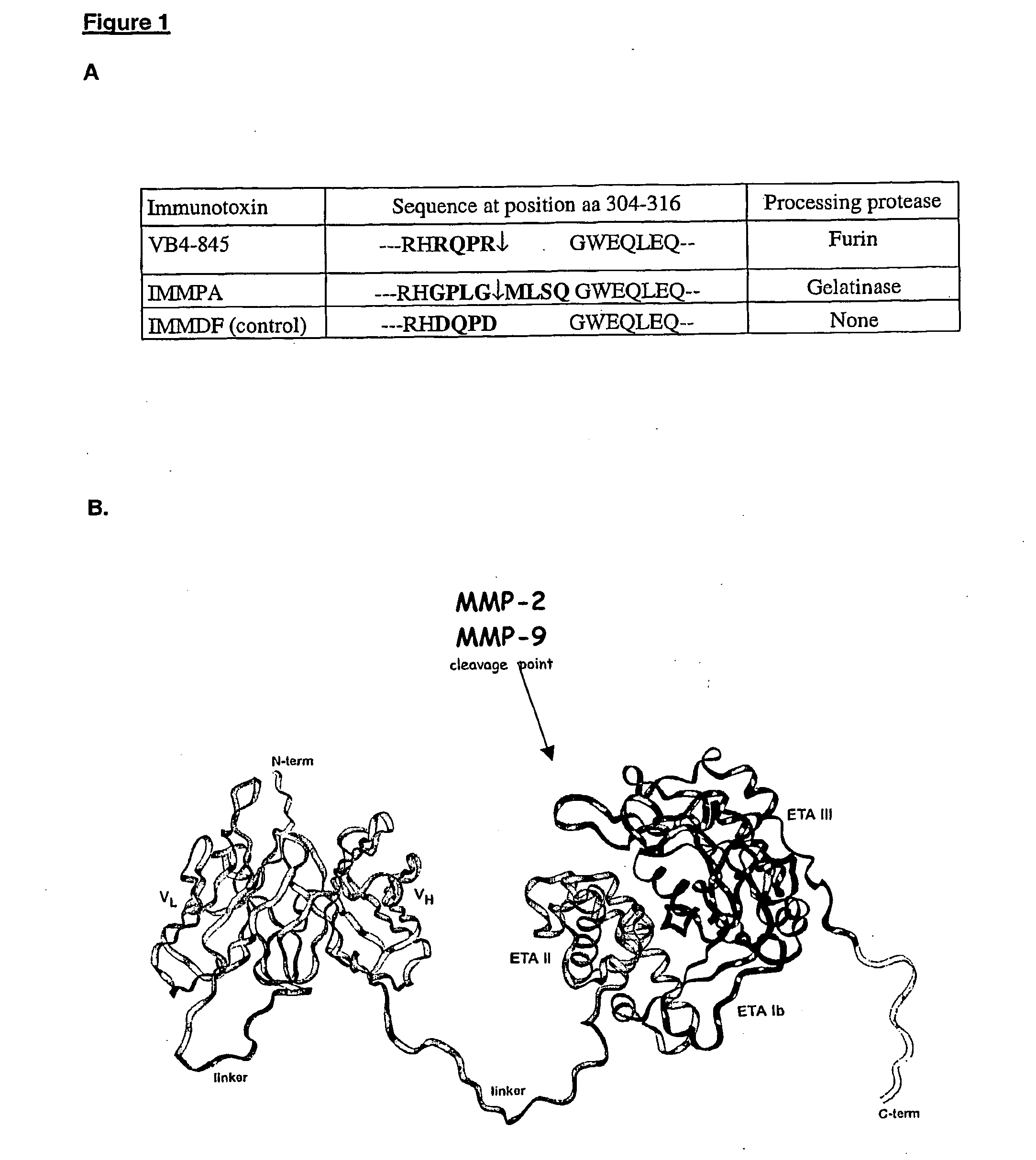 Methods for treating cancer using an immuno-toxin comprising an exotoxin a moiety having a furin cleavage site replaced with a cancer associated protease site cleaved by mmp-2 or mmp-9