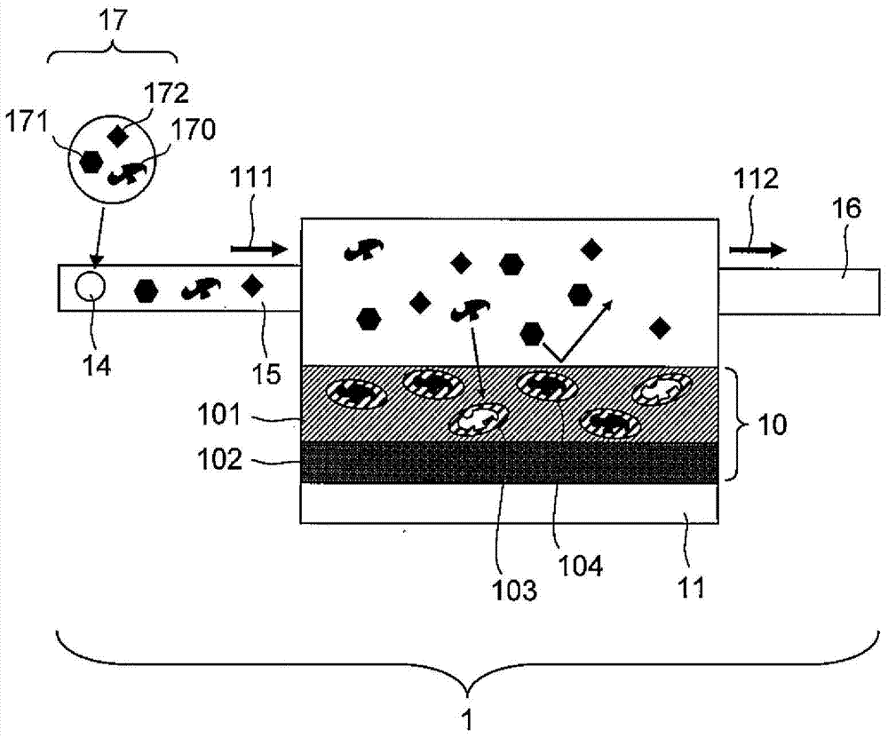 Molecular template and method for producing same