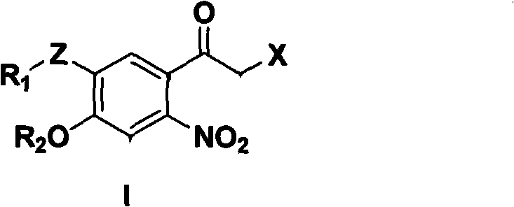 6-nitroacetophenone compound, preparation method and application thereof