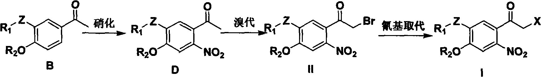 6-nitroacetophenone compound, preparation method and application thereof