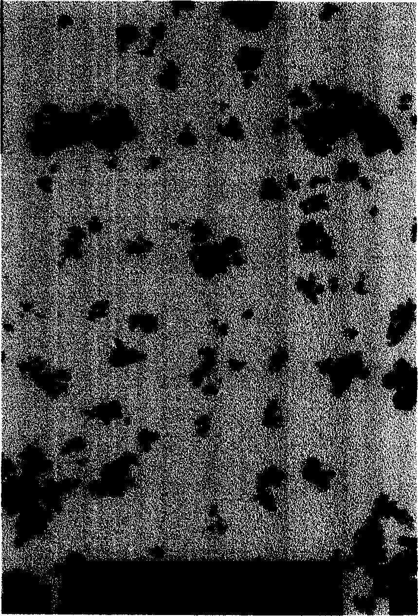 Nano composite anti-bacterial agent and preparation method