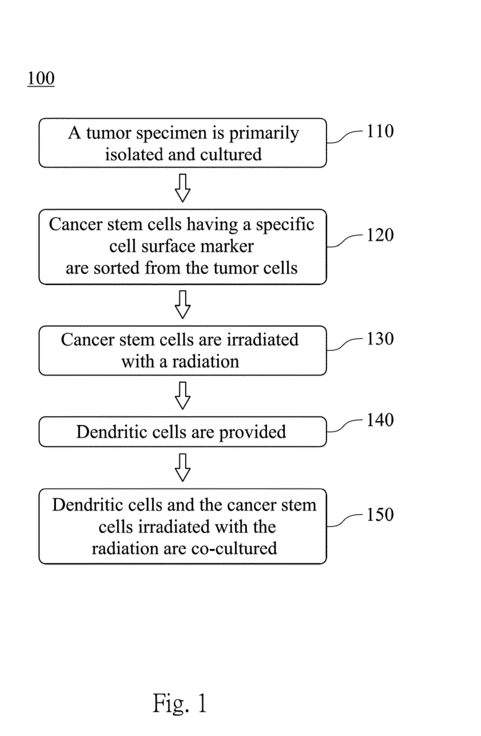 Dendritic cell tumor vaccine and method for preparing the same